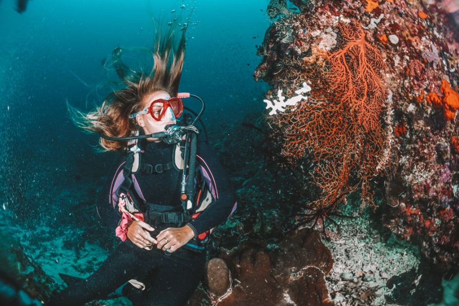 Paradise: Diving resort in Raja Ampat